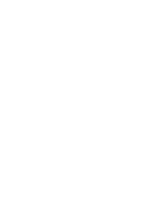 Criminal Defensewhite Icon Criminal Defense Icon