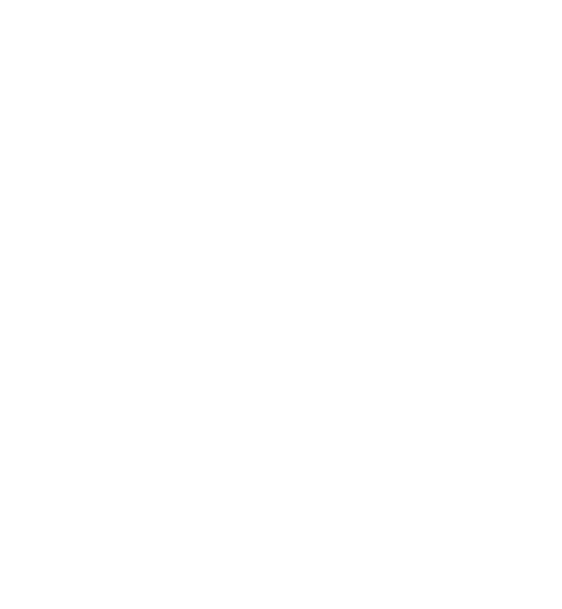 Intellectual Propertywhite Icon Intellectual Property Icon