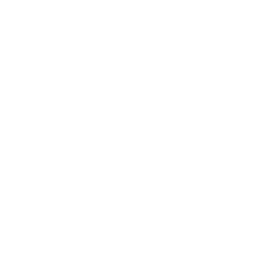Legislative Relationswhite Icon Legislative Relations Icon