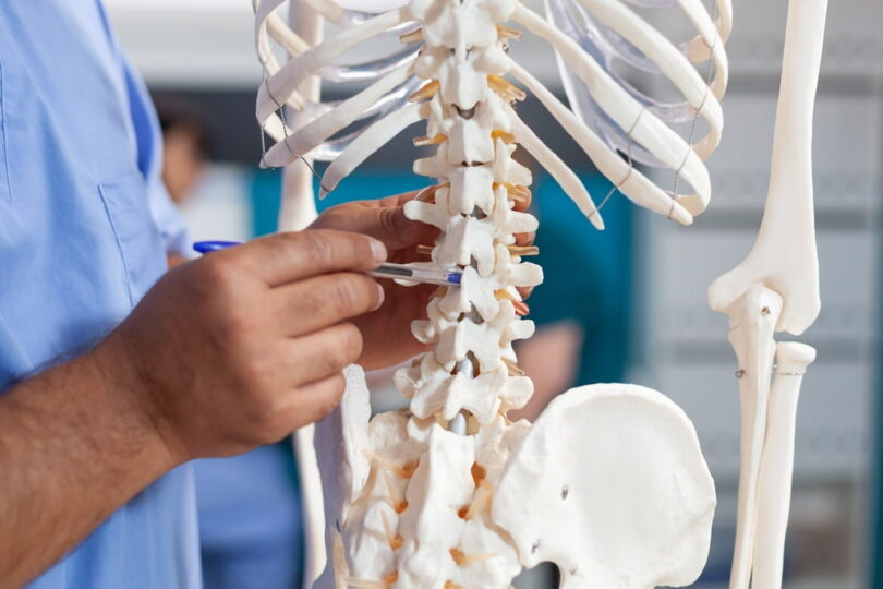 medical professional pointing to the lower spine on a human skeleton model
